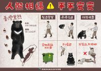 人熊平安宣導單正面